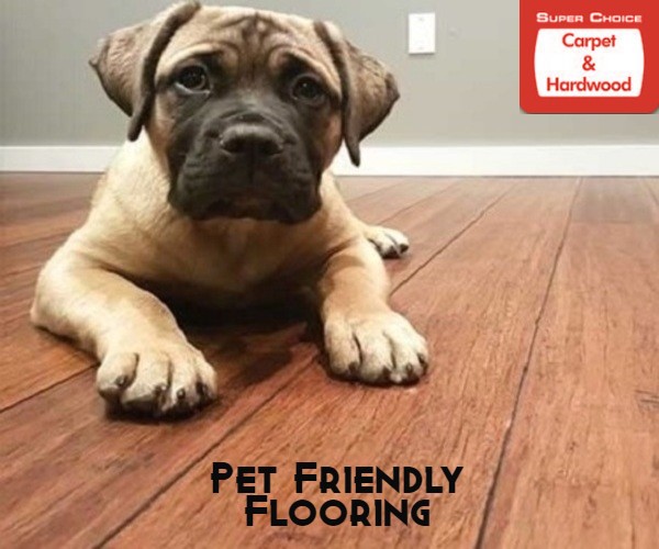 best-pet-friendly-flooring